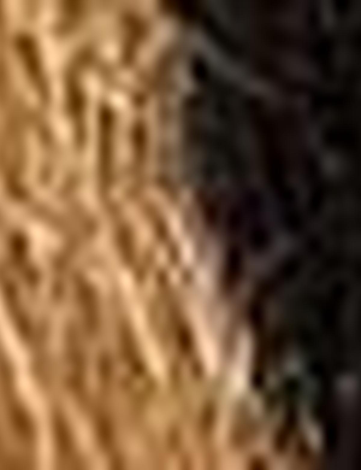 Kahverengi Kemer - 50214040001