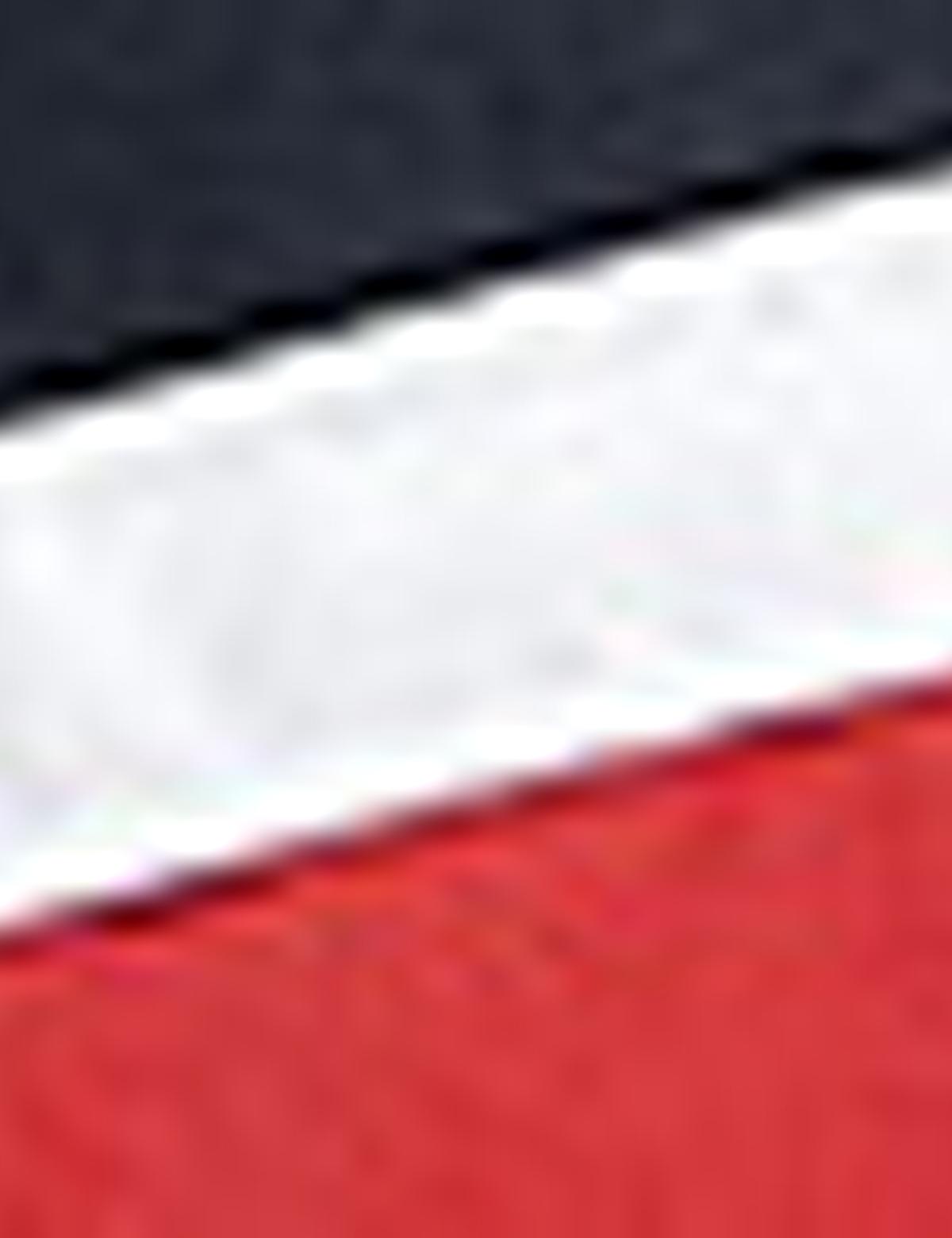 Kırmızı Deniz Şortu - 50214175002