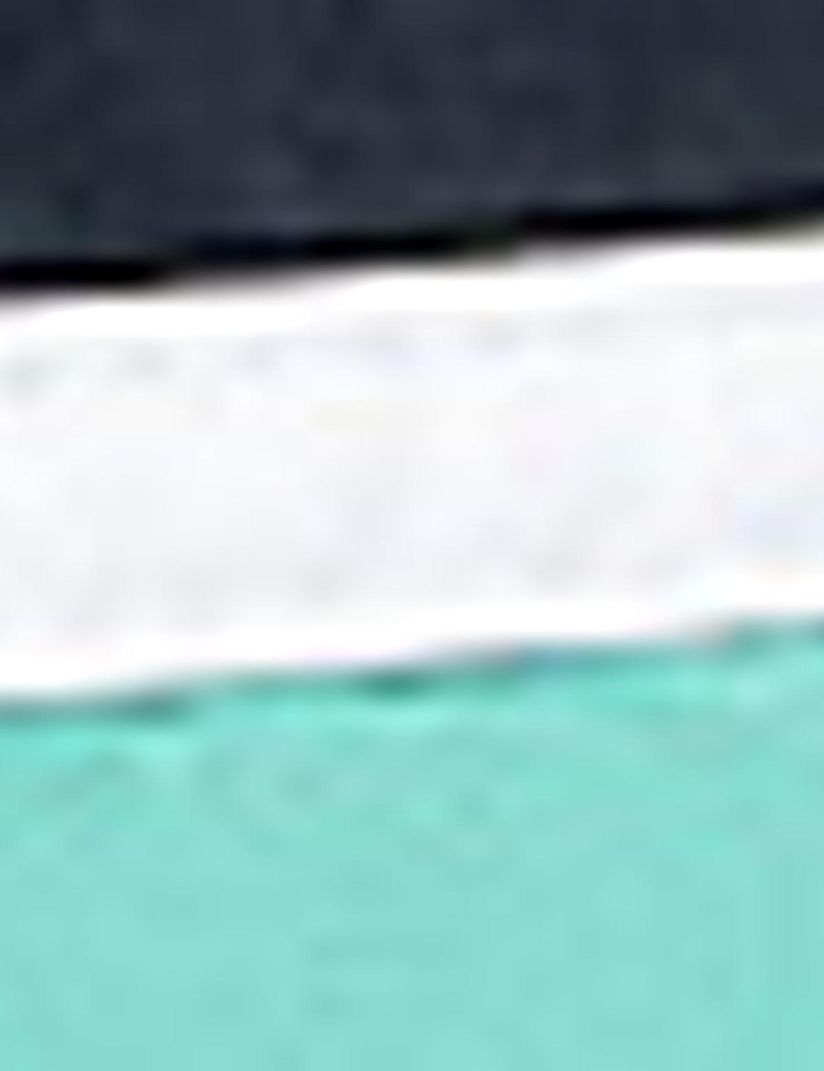 Mint Deniz Şortu - 50214175006