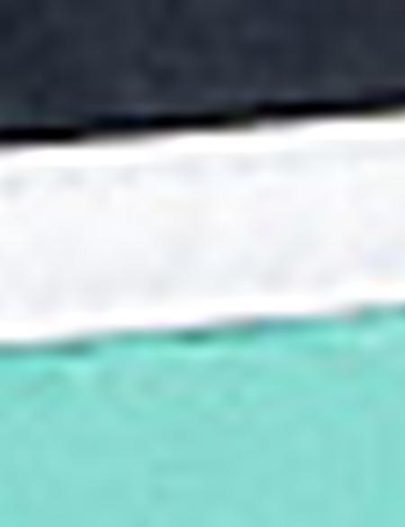 Mint Deniz Şortu - 50214175006