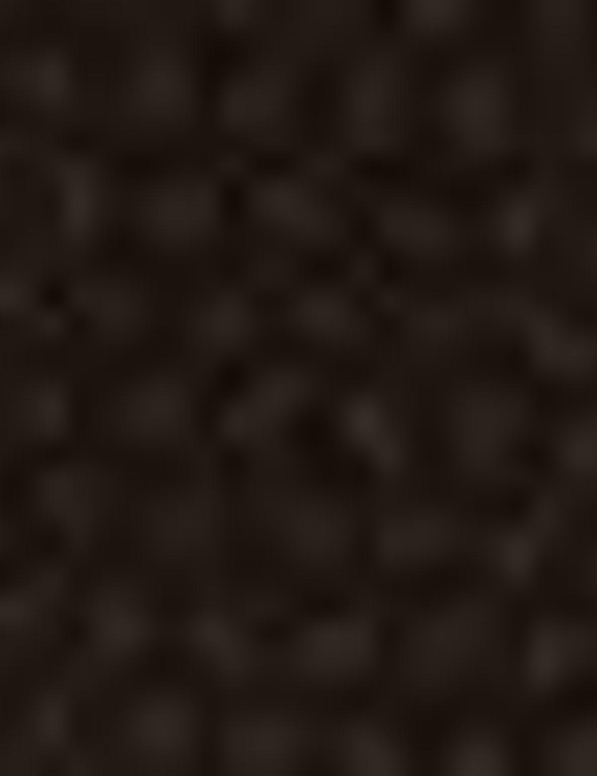 Kadın Sırt Çantası - 50215559003