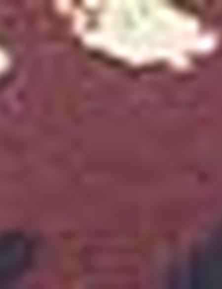 Çok Renkli Eşarp - 50216240001