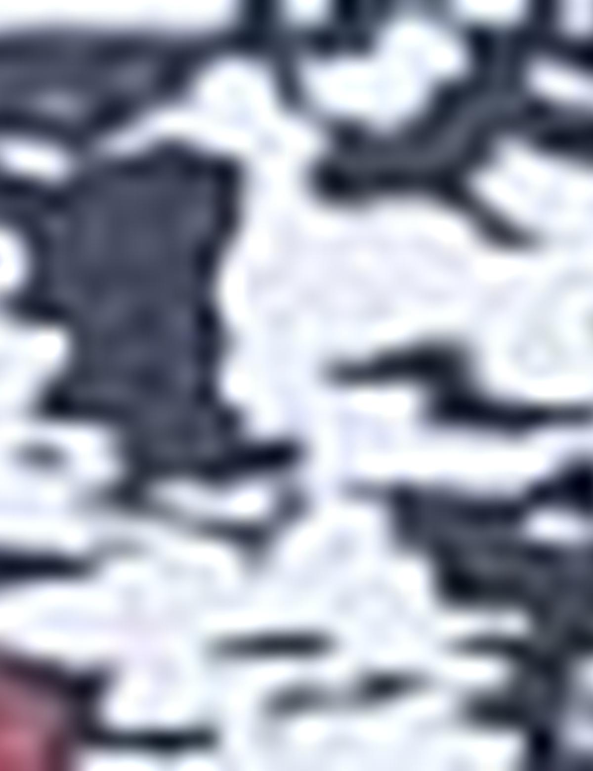 Eşarp Şal - 50216416001