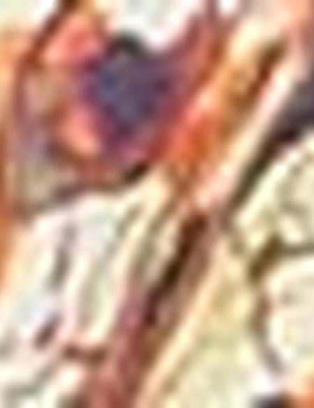 Eşarp Şal - 50216413001