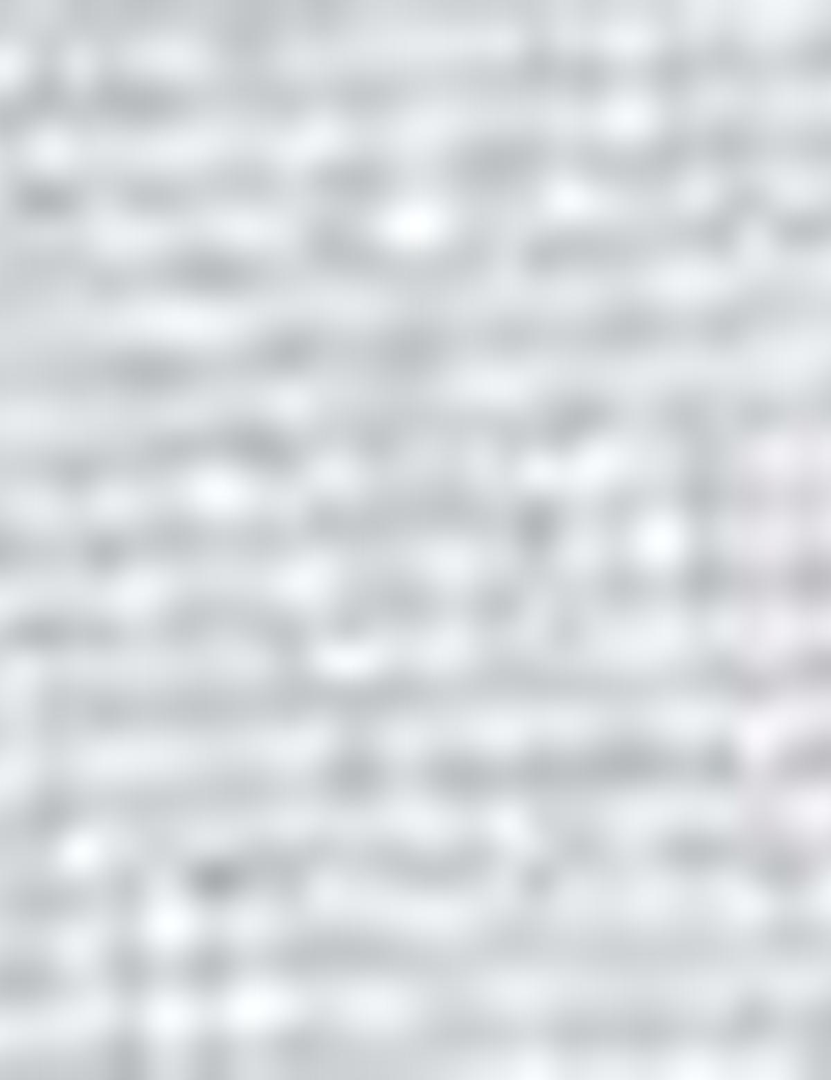 Eşarp Şal - 50216419001