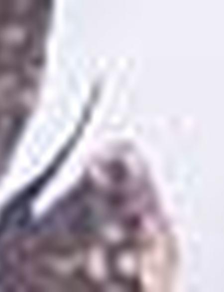 Eşarp Şal - 50216426001