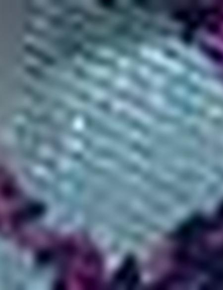 Eşarp Şal - 50216564001