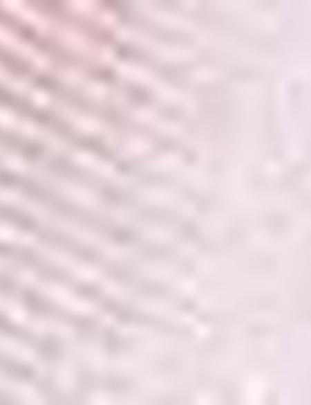 Eşarp Şal - 50216565001