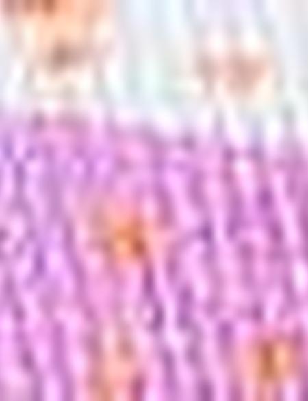 Eşarp Şal - 50216566001