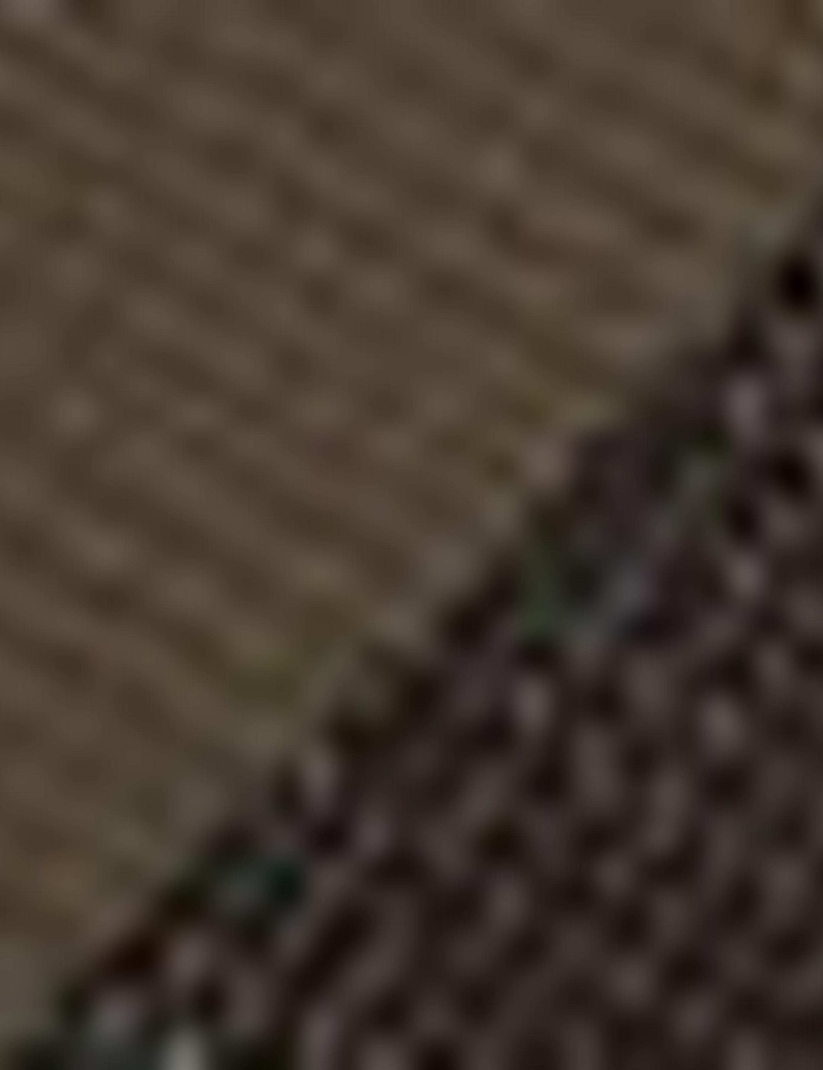 Kadın Omuz Çantası