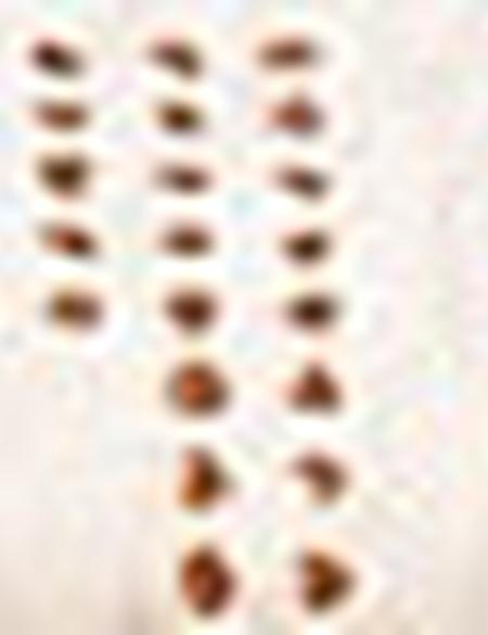 Kadın Omuz Çantası - 50221314002