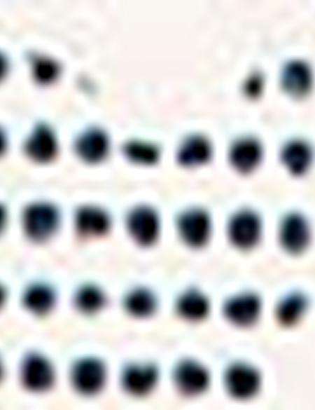 Kadın Sırt Çantası - 50221315003