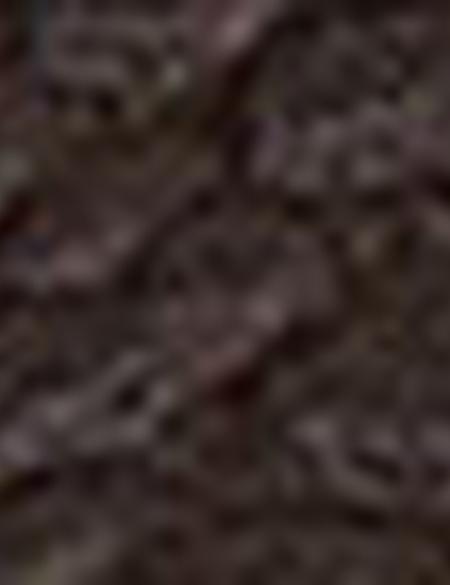 Kadın Omuz Çantası - 50221314005