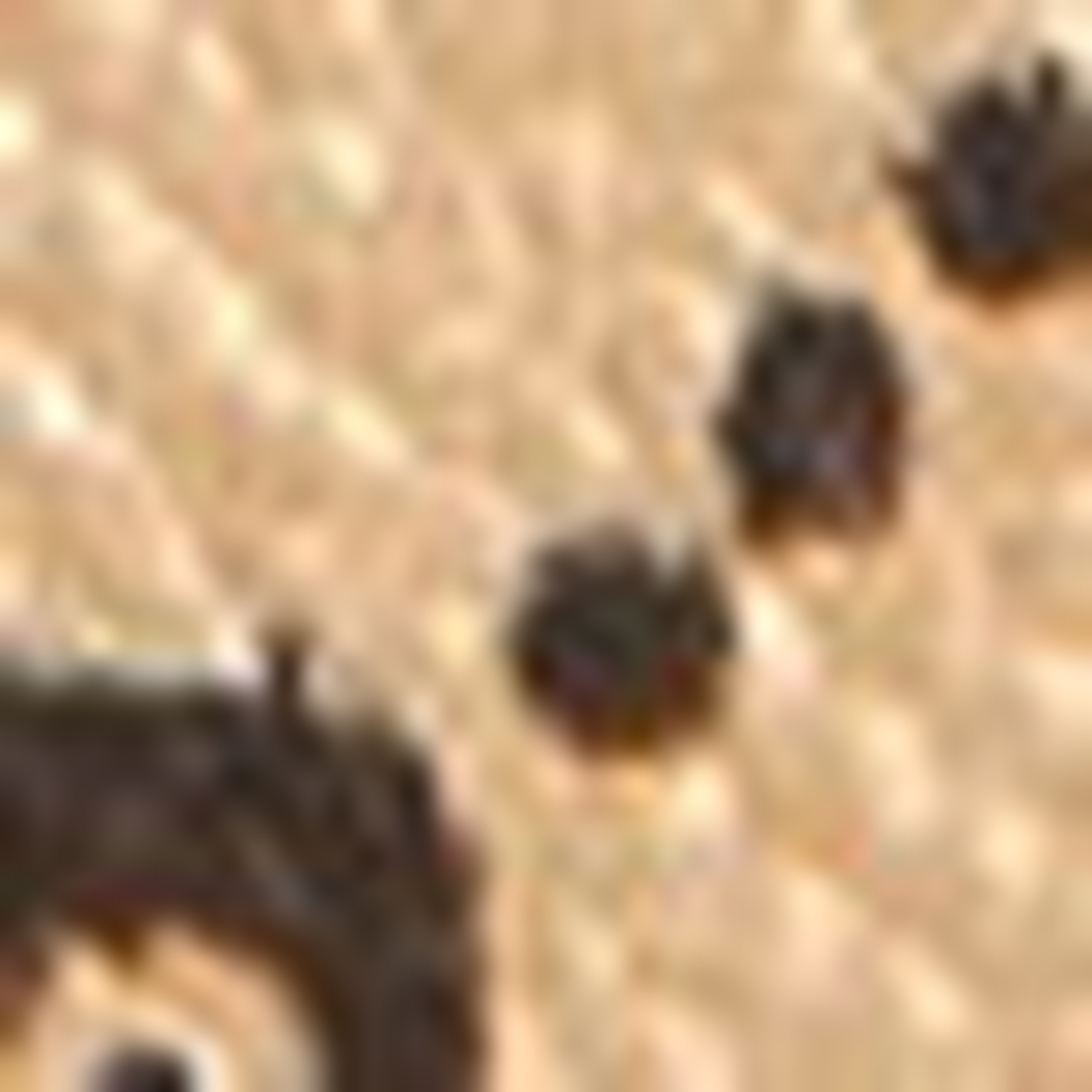 Gold Kol Çantası - Image 5