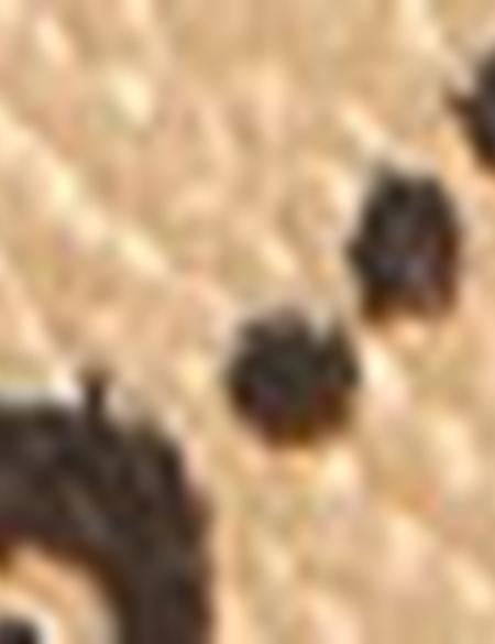 Gold Kol Çantası - 50221316001