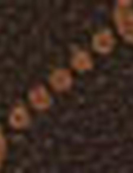 Kahverengi Sırt Çantası - 50221317004