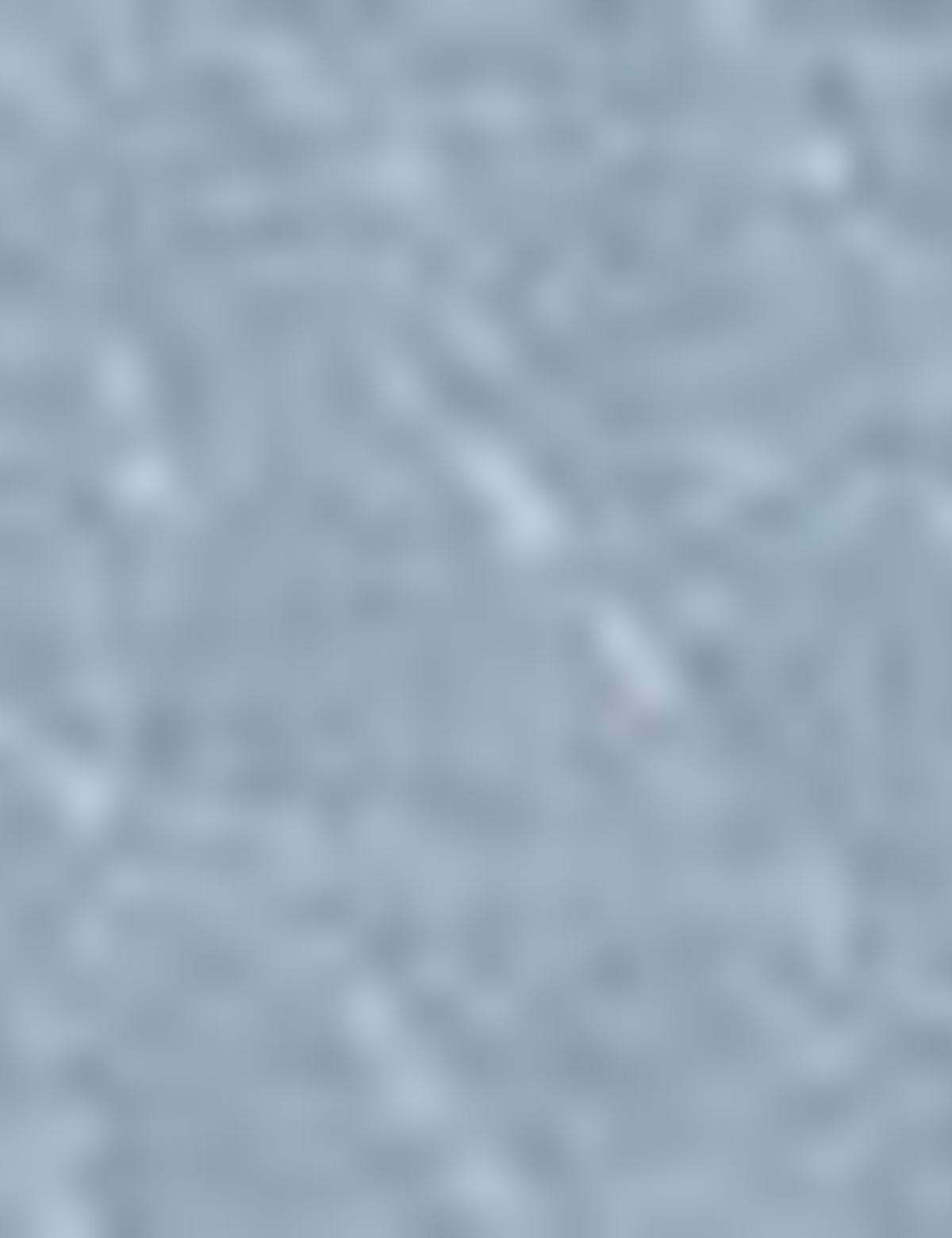 Kadın Sırt Çantası - 50221325003