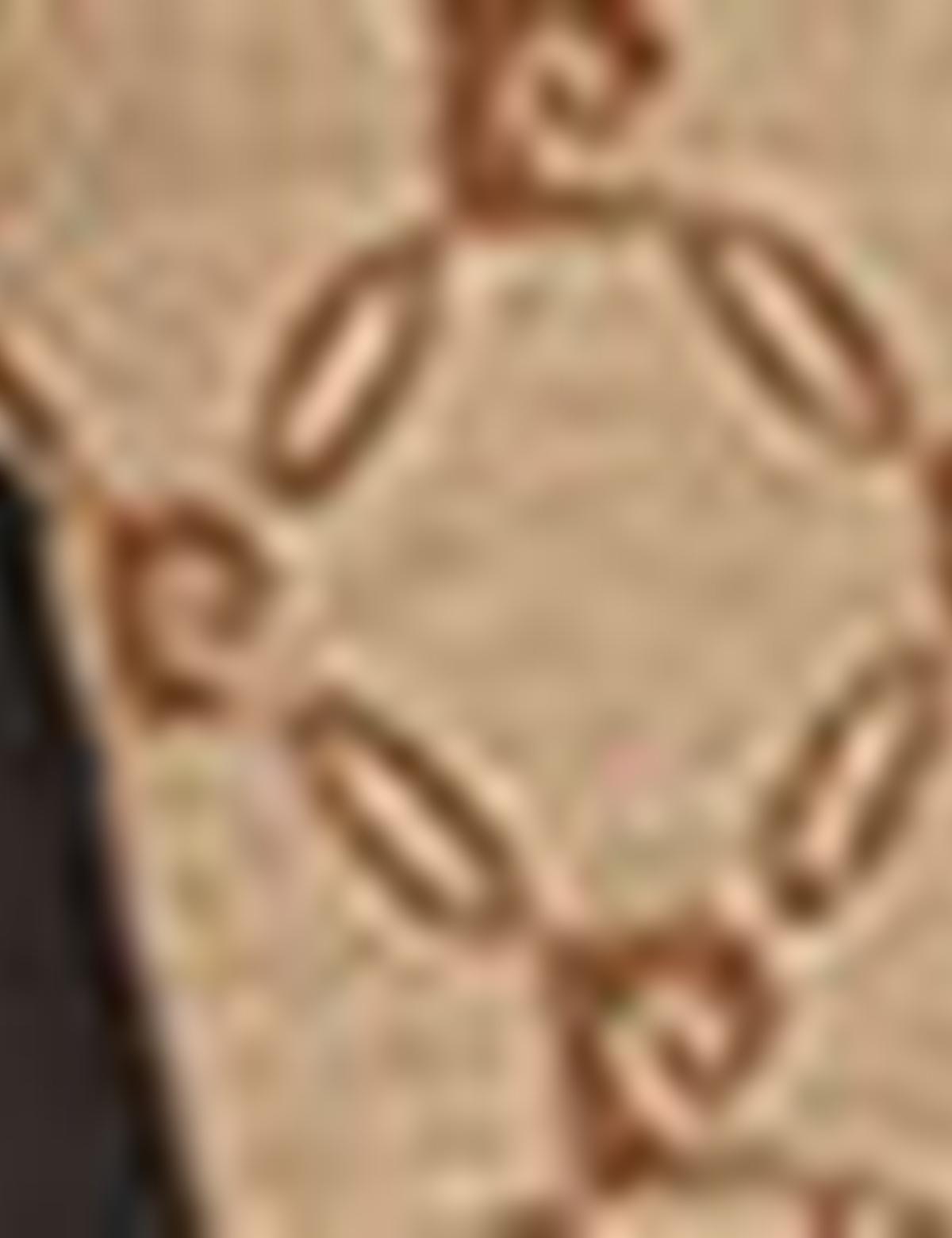 Kahverengi Kol Çantası - 50221333001