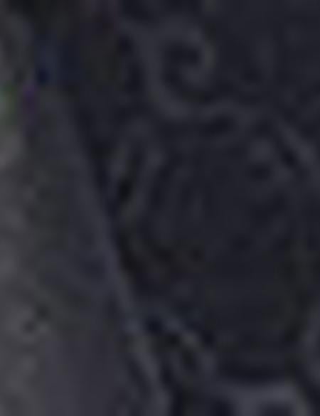 Lacivert Kol Çantası - 50221333002