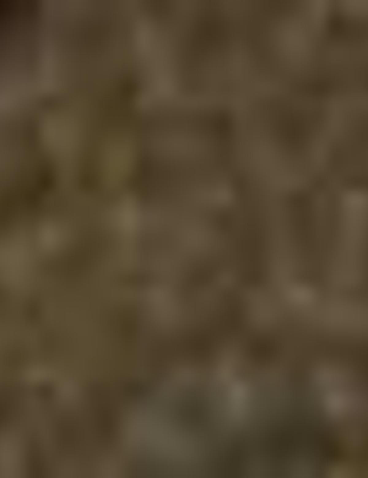 Erkek Cüzdan - 50217363003