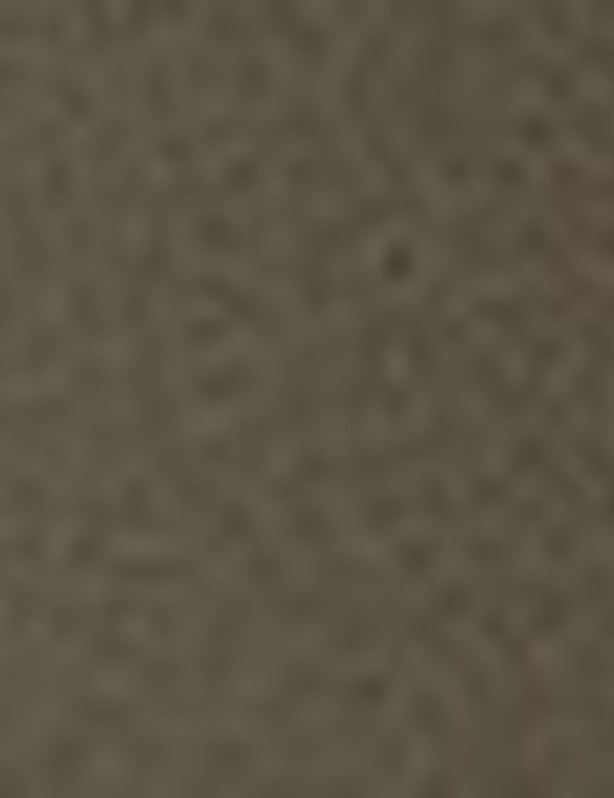 Haki Kaşe Mont - 50210252022