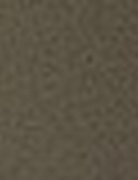 Haki Kaşe Mont - 50210252022