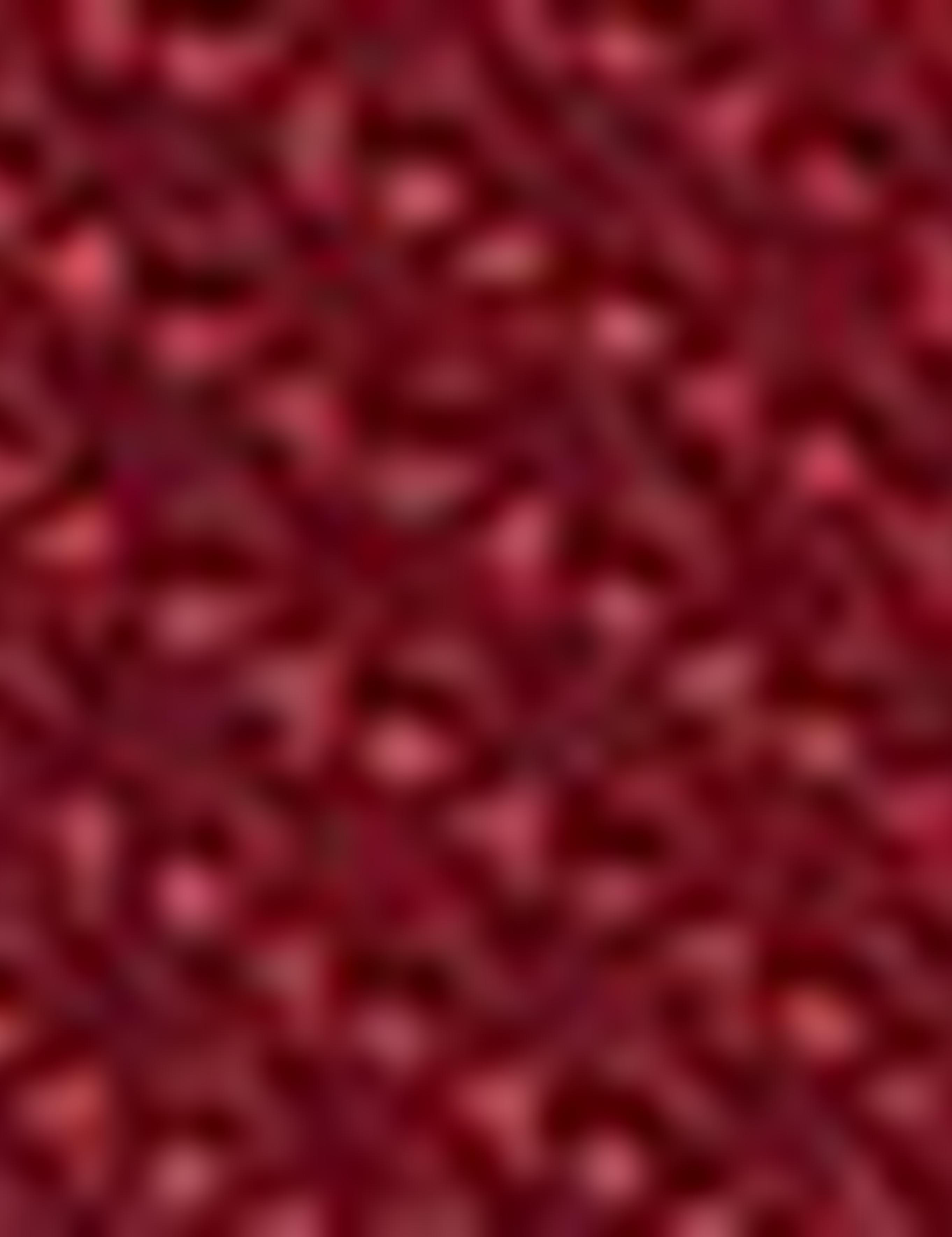 Bordo Kabin Boy Valiz