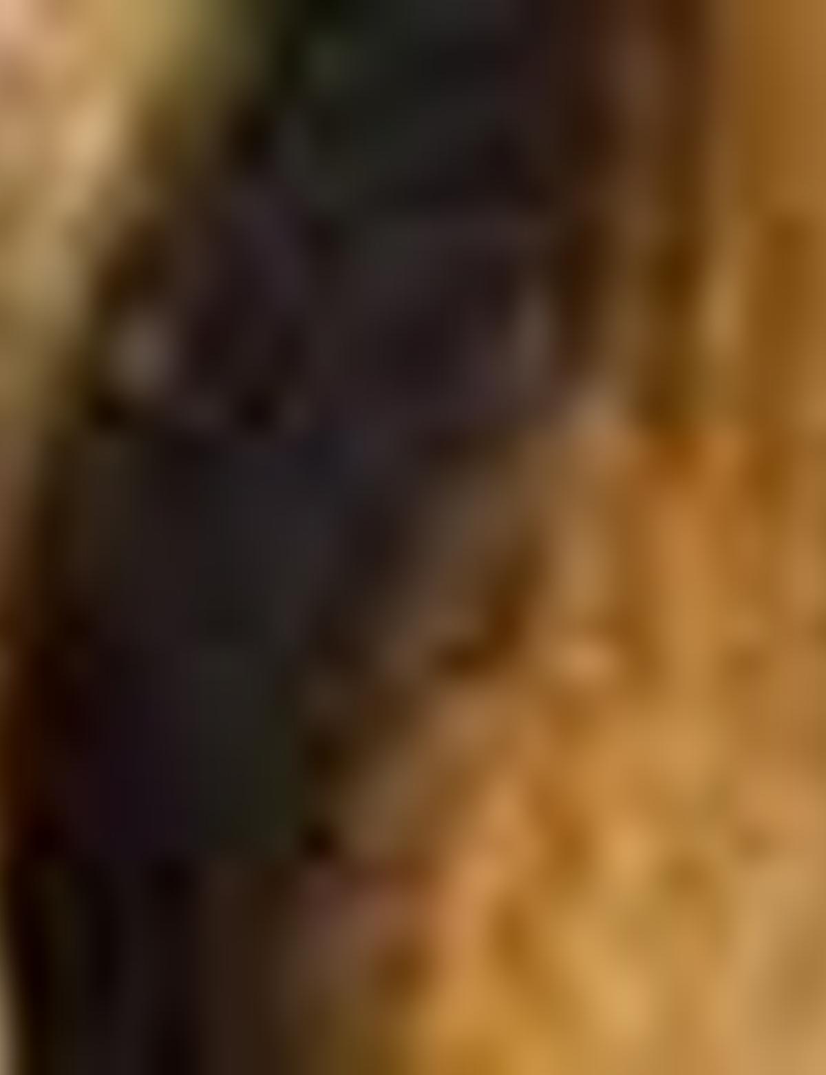 Eşarp Şal - 50207228001