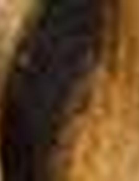 Eşarp Şal - 50207228001