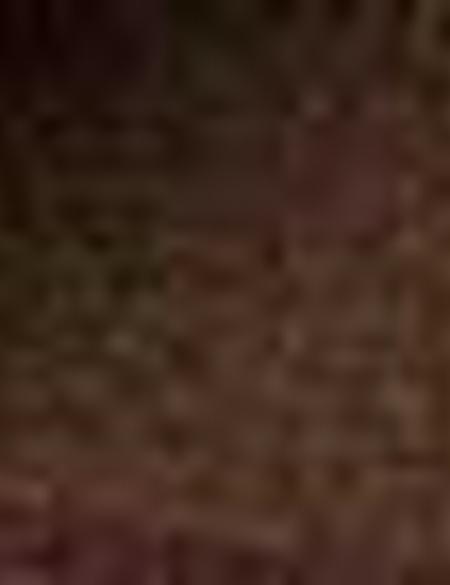 Eşarp Şal - 50207231001