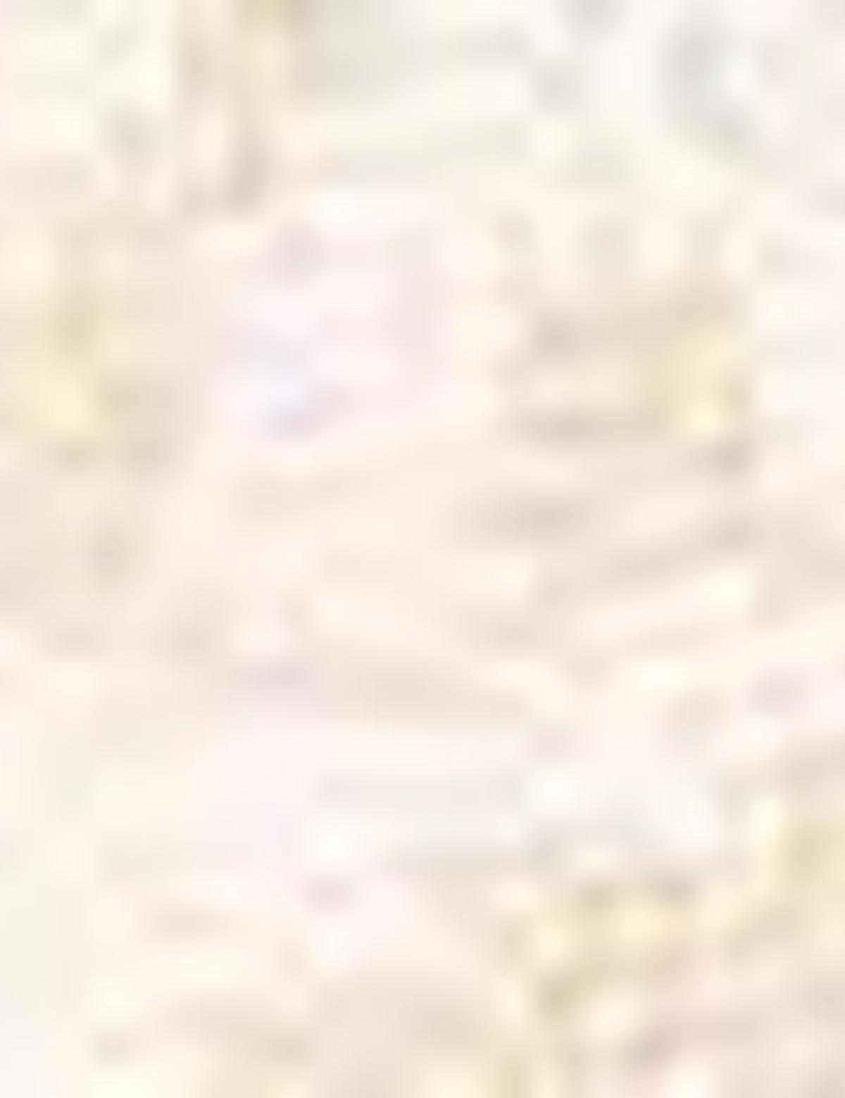 Eşarp Şal - 50207248001