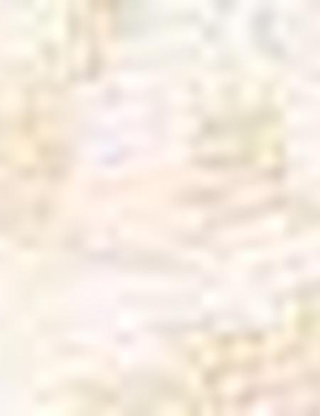 Eşarp Şal - 50207248001