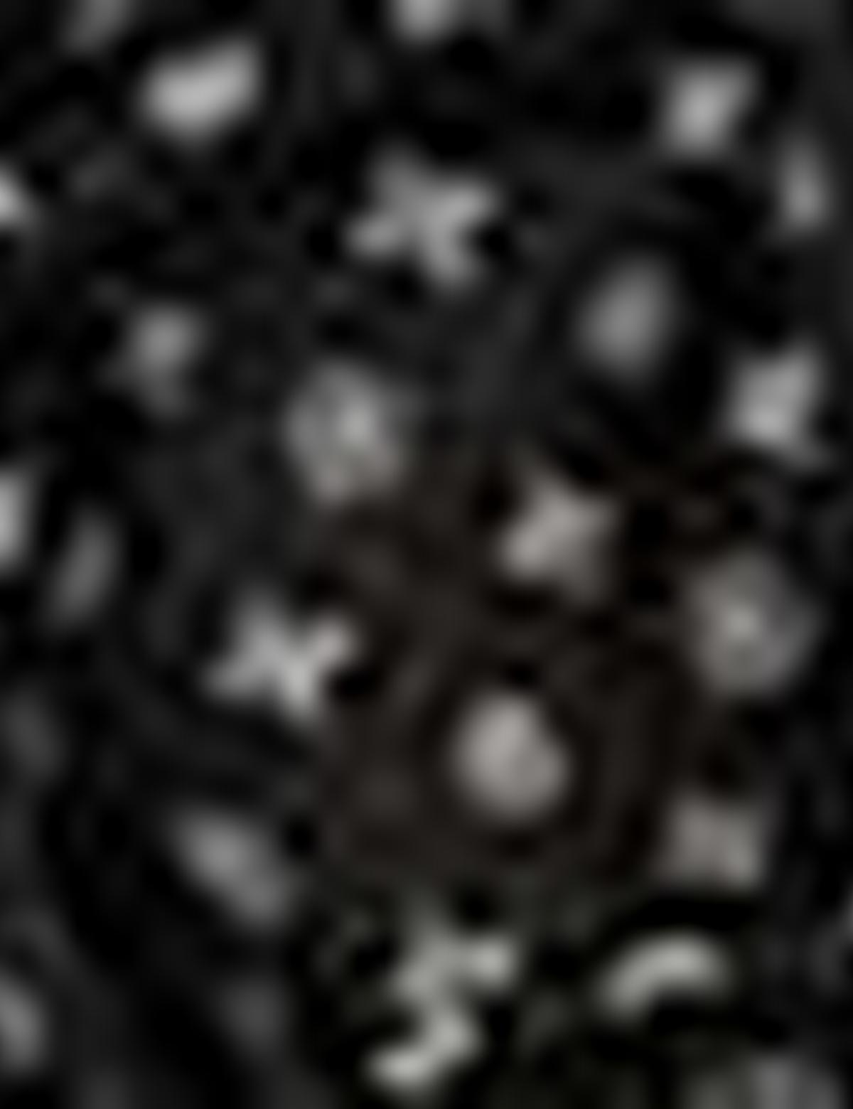 Eşarp Şal - 50207273001