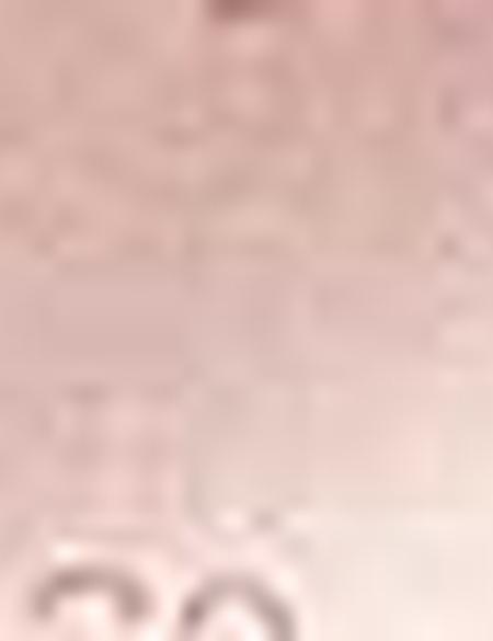 Eşarp Şal - 50207276001