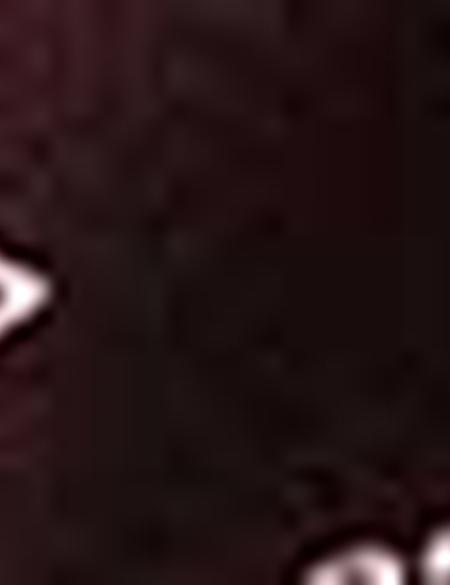 Eşarp Şal - 50207274001