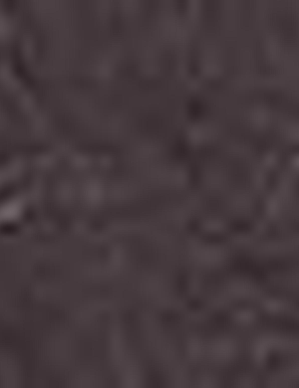 Kahverengi Çanta - 50207518001