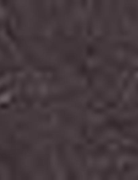 Kahverengi Çanta - 50207518001