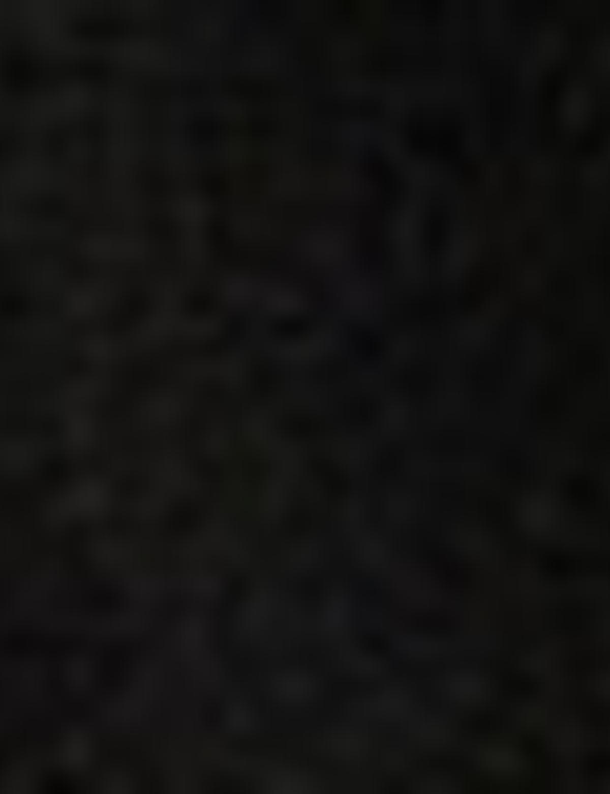 Siyah Slim Fit Kaban - 50207658002