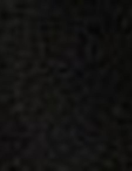 Siyah Slim Fit Kaban - 50207658002