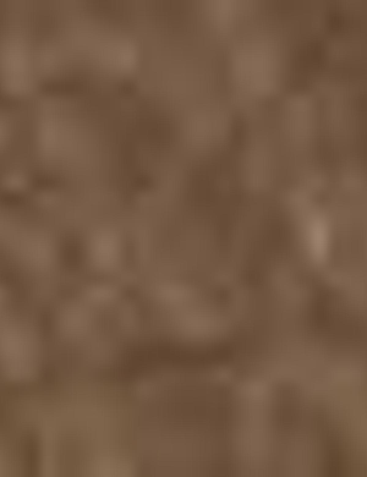 Kahverengi Ayakkabı - 50207740007