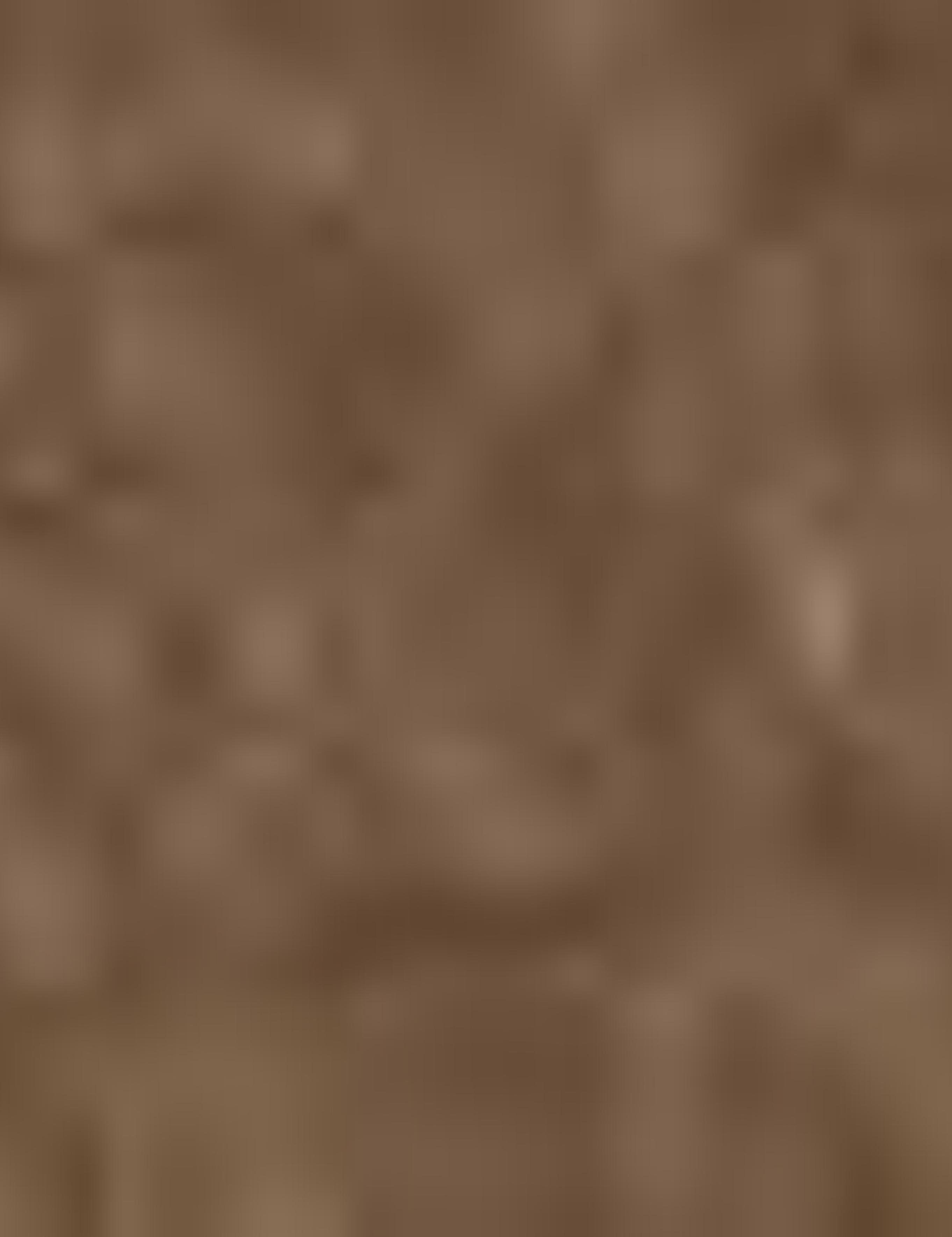 Kahverengi Ayakkabı