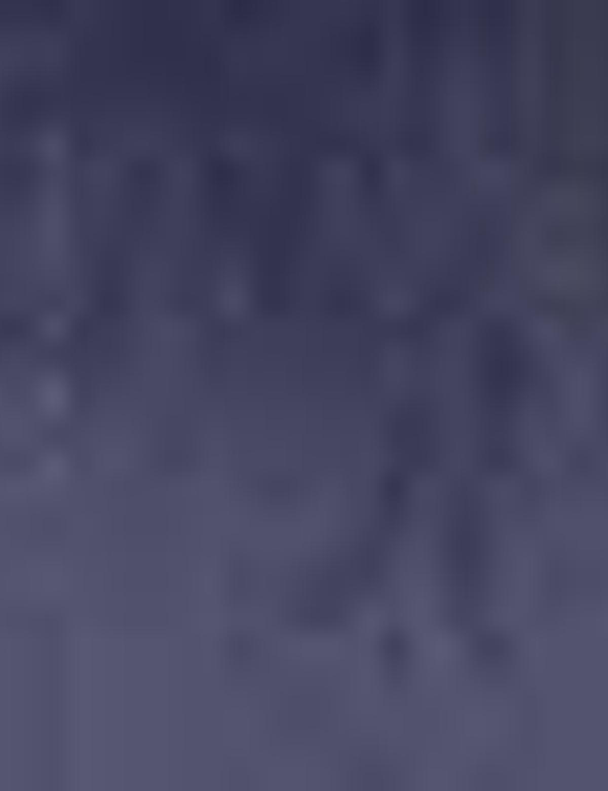 Lacivert Yelek - 50208130020