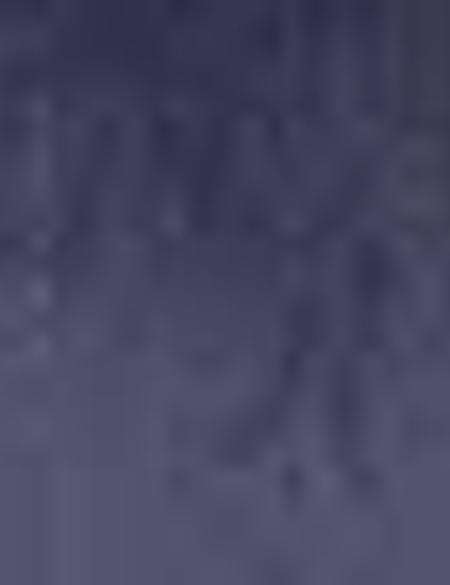 Lacivert Yelek - 50208130020