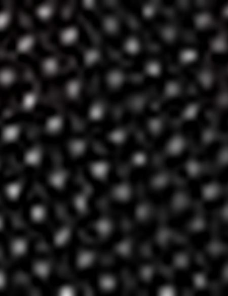 Siyah Valiz - 50208300001