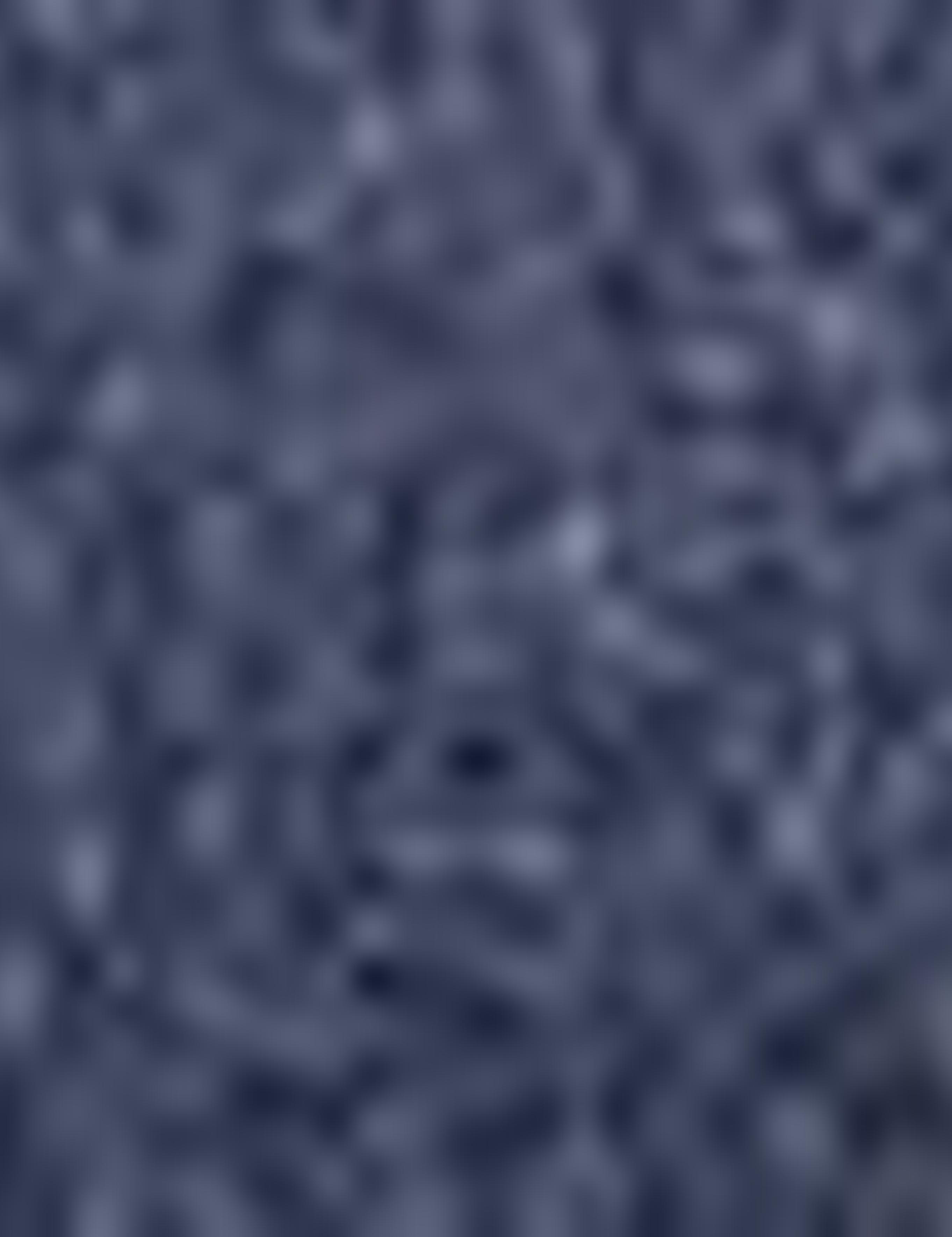 Açık Lacivert Slim Fit Ceket