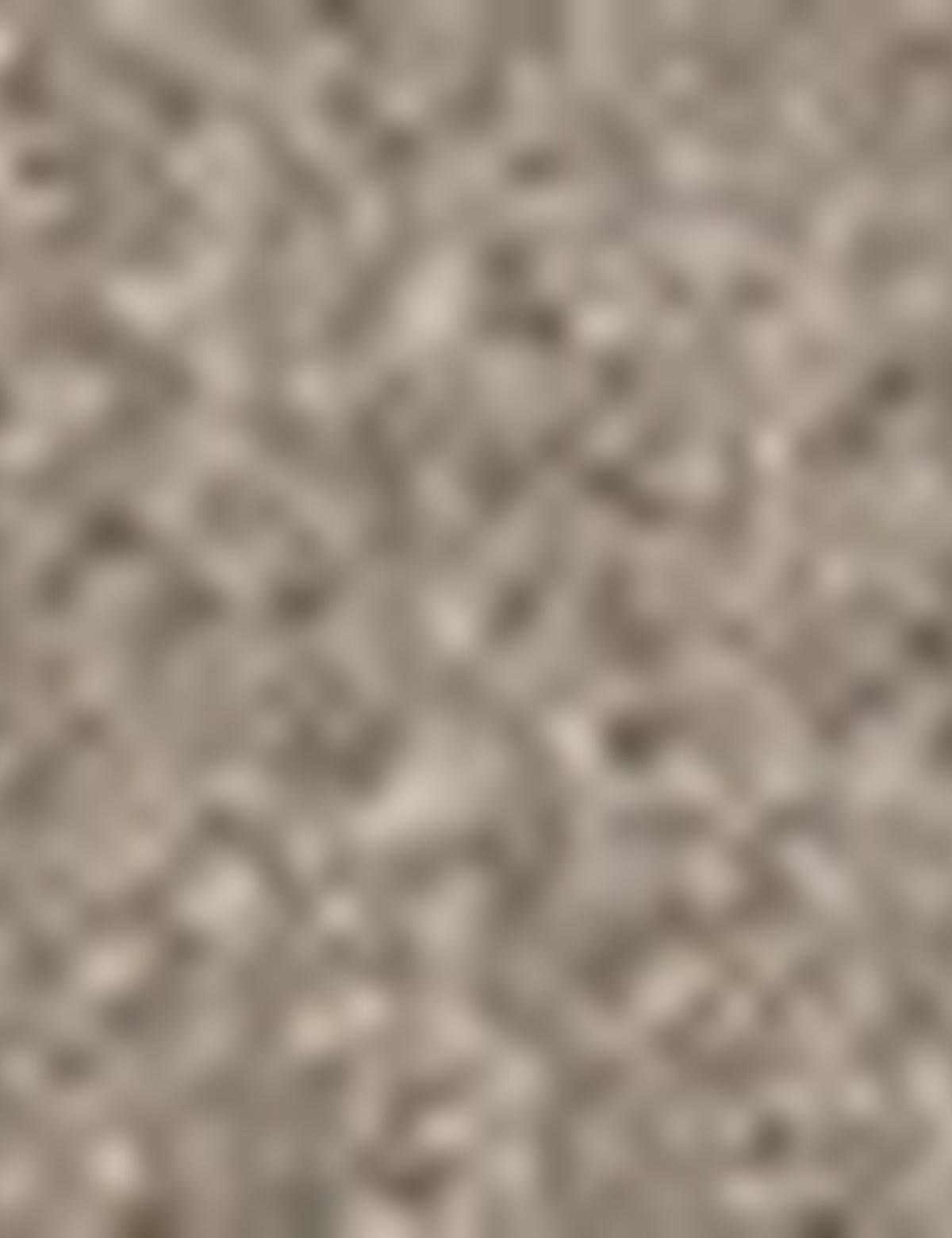 Açık Kahverengi Slim Fit Ceket - 50208604107