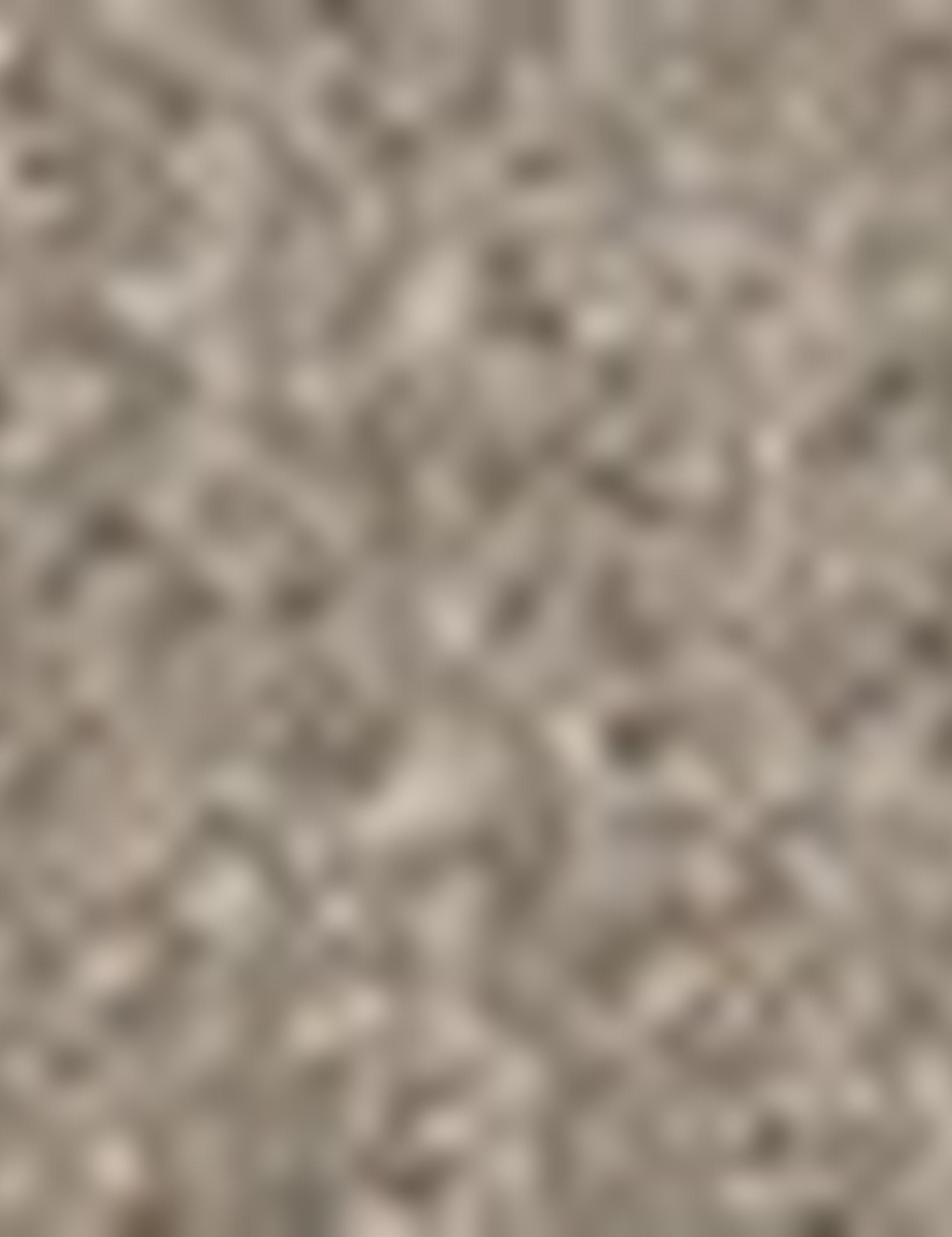 Açık Kahverengi Slim Fit Ceket