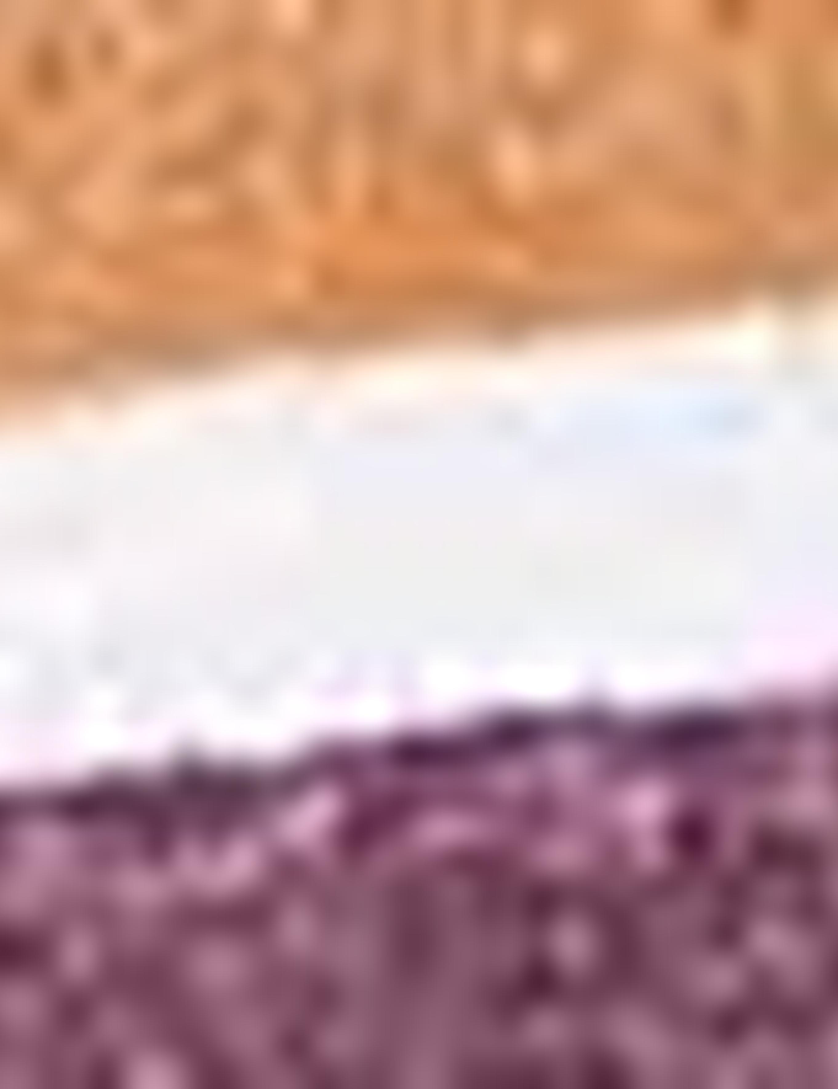 Bordo Slim Fit Tişört