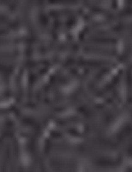 Siyah Evrak Çantası - 50212311001