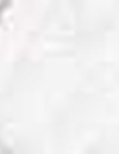 Beyaz Sneakers - 50216585004